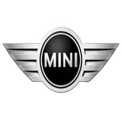 Read more about the article Mini Logo
