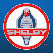 Read more about the article Shelby Logo