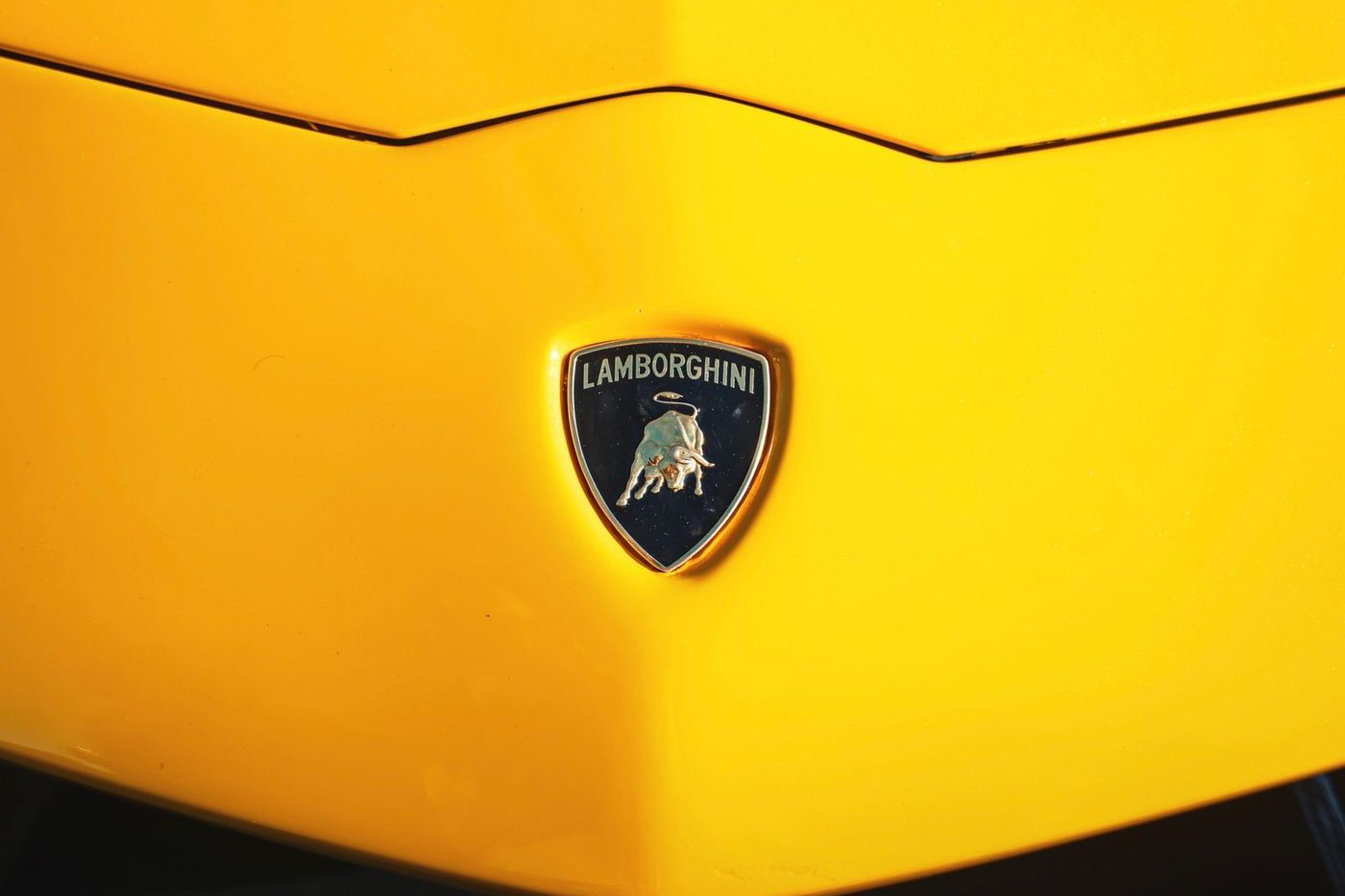 Lamborghini bull shield on the nose of a yellow car