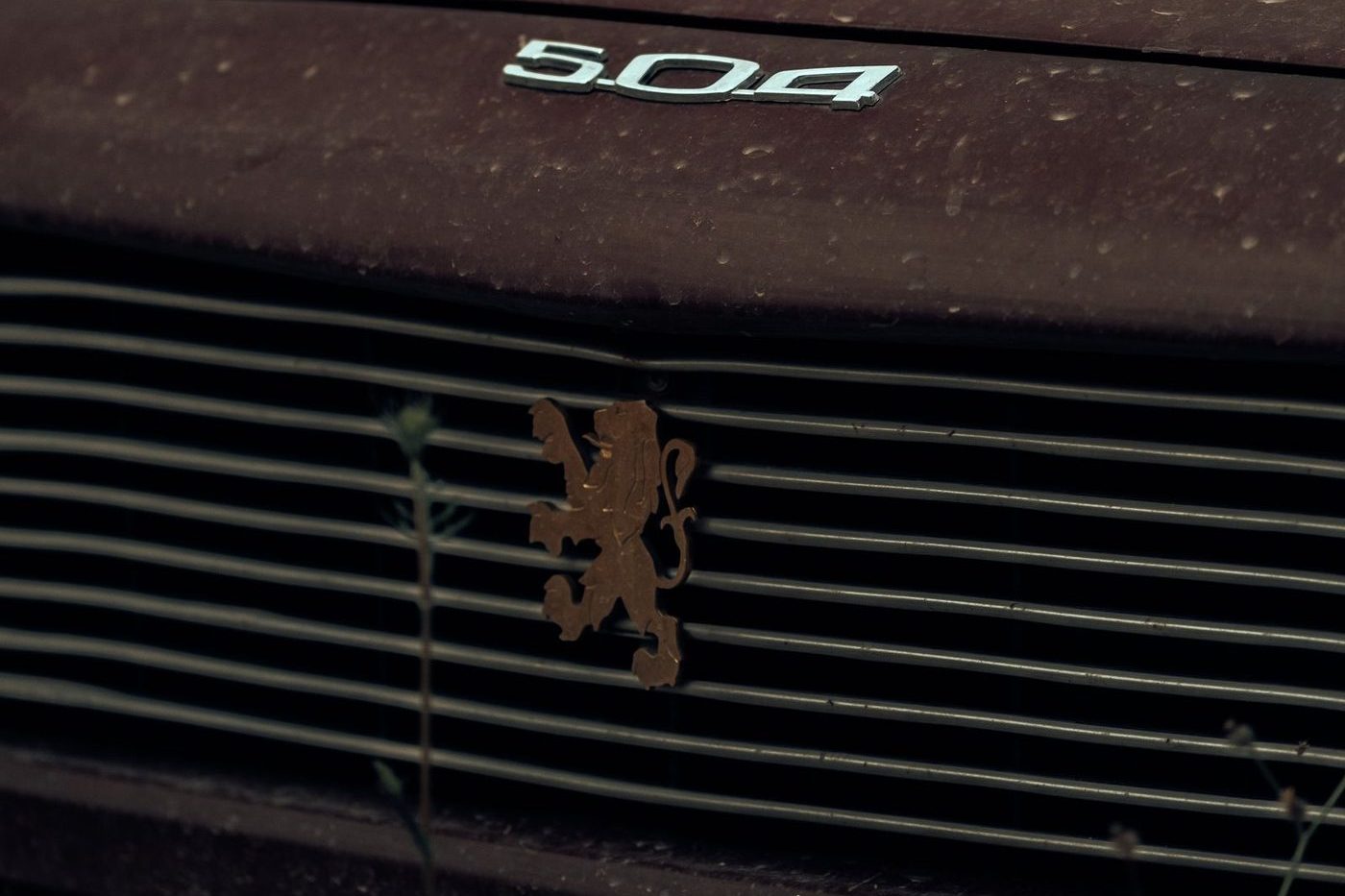 Peugeot lion badge on the grille of a Peugeot 504